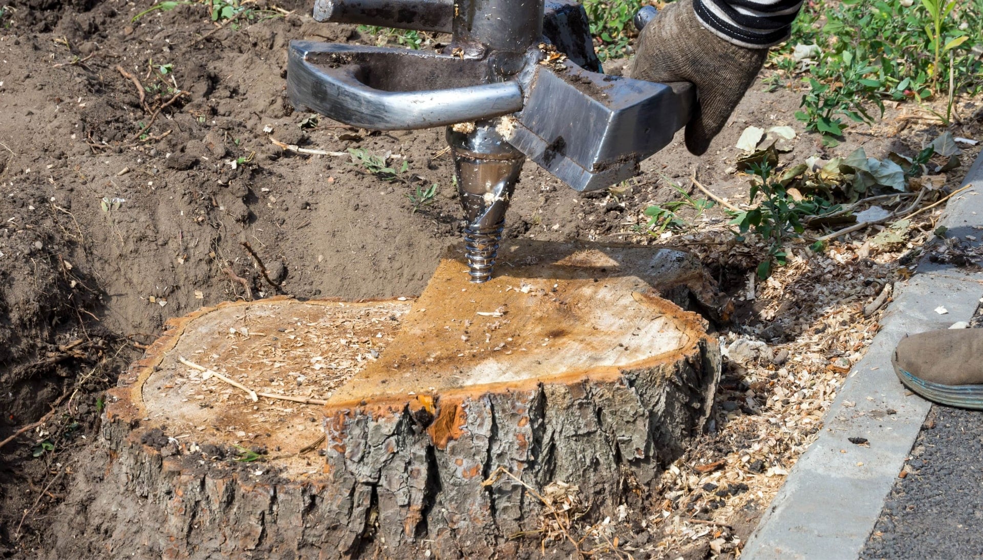 Kalispell Tree stump removal